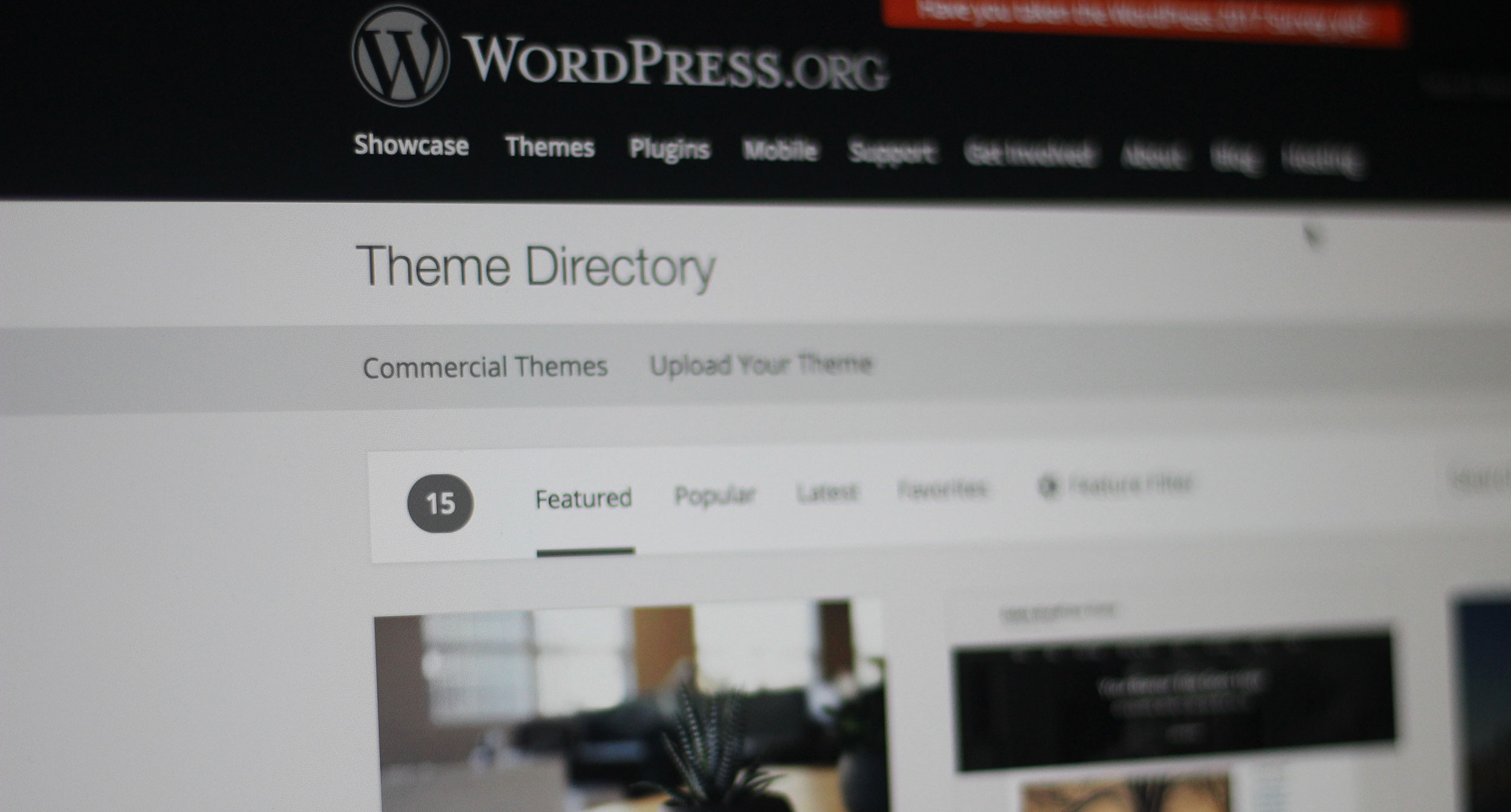Screenshot of the WordPress theme directory