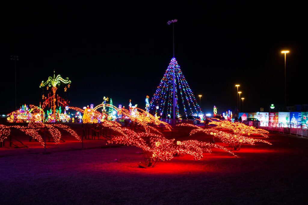 Colored lights in a park at night depicting red poinsettias