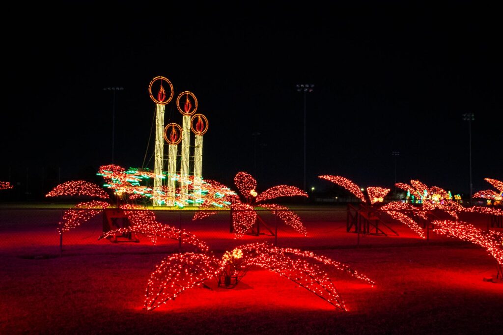 Colored lights in a park at night depicting red poinsettias in front of large candles