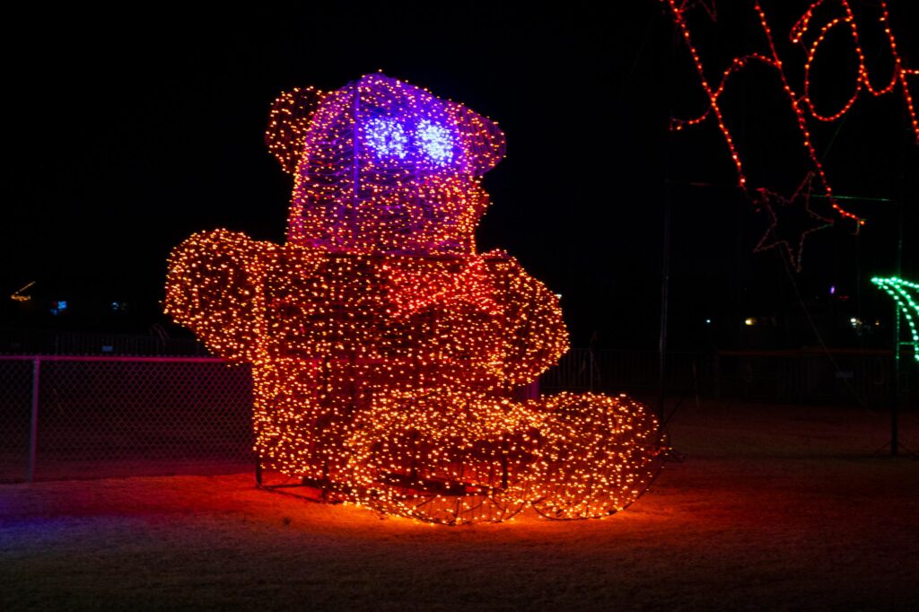 Colored lights in a park at night depicting a large teddy bear