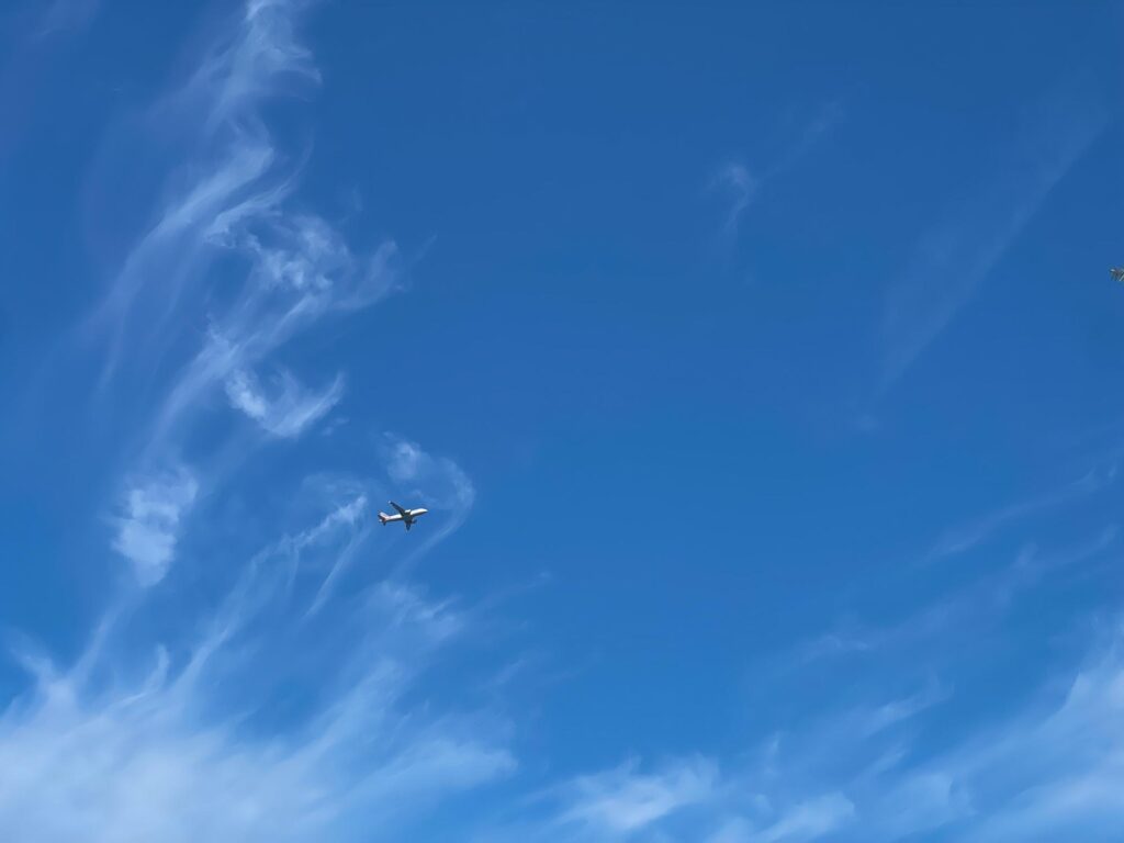 A plane flying over head