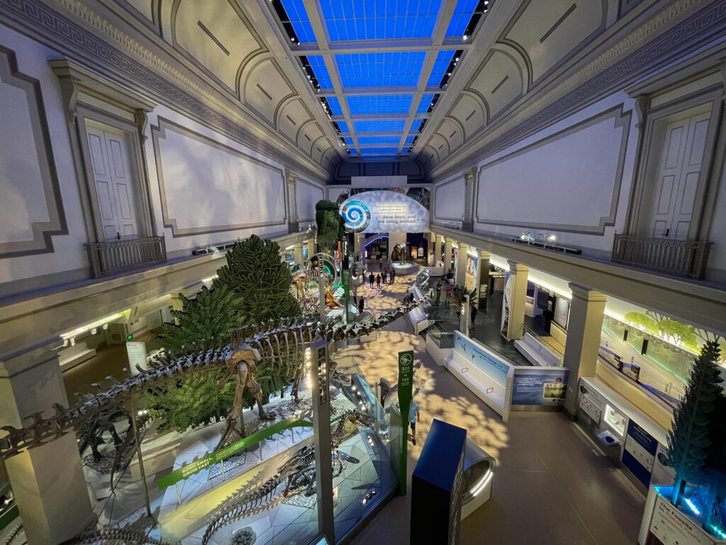 A large museum exhibit filled with fossils and animal skeletons in a museum exhibit