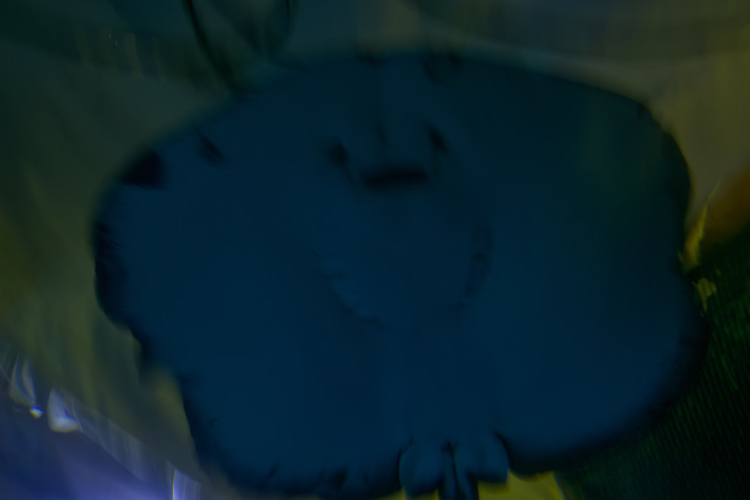 A blurry, upward-looking shot of the underside of a large stingray as it swims overhead in a dark tank, showing the pattern of its gills and mouth that resembles a smiling face.