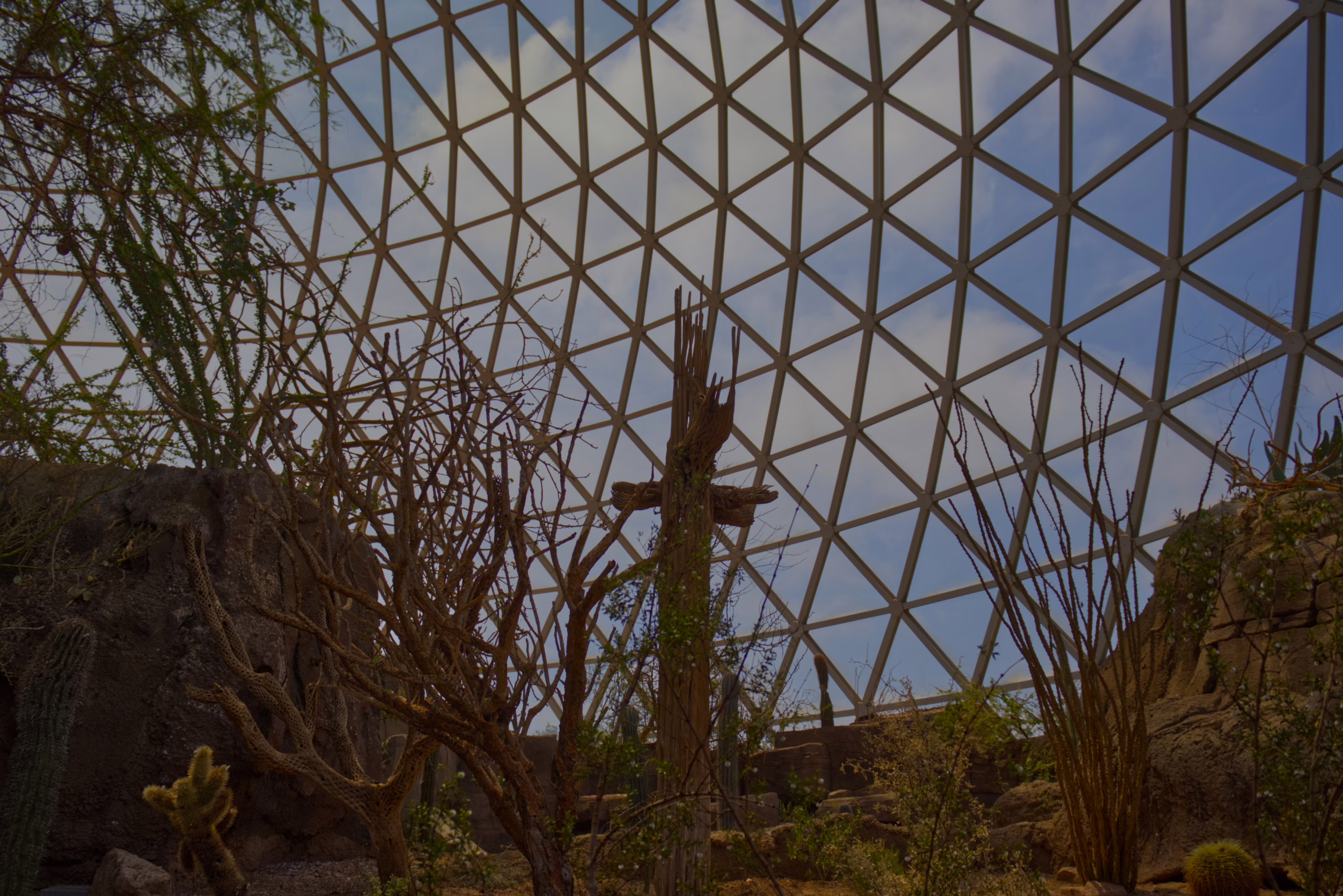 A view looking up through the sparse, dry branches of desert plants at the complex geometric pattern of a large geodesic dome against a blue and white sky.