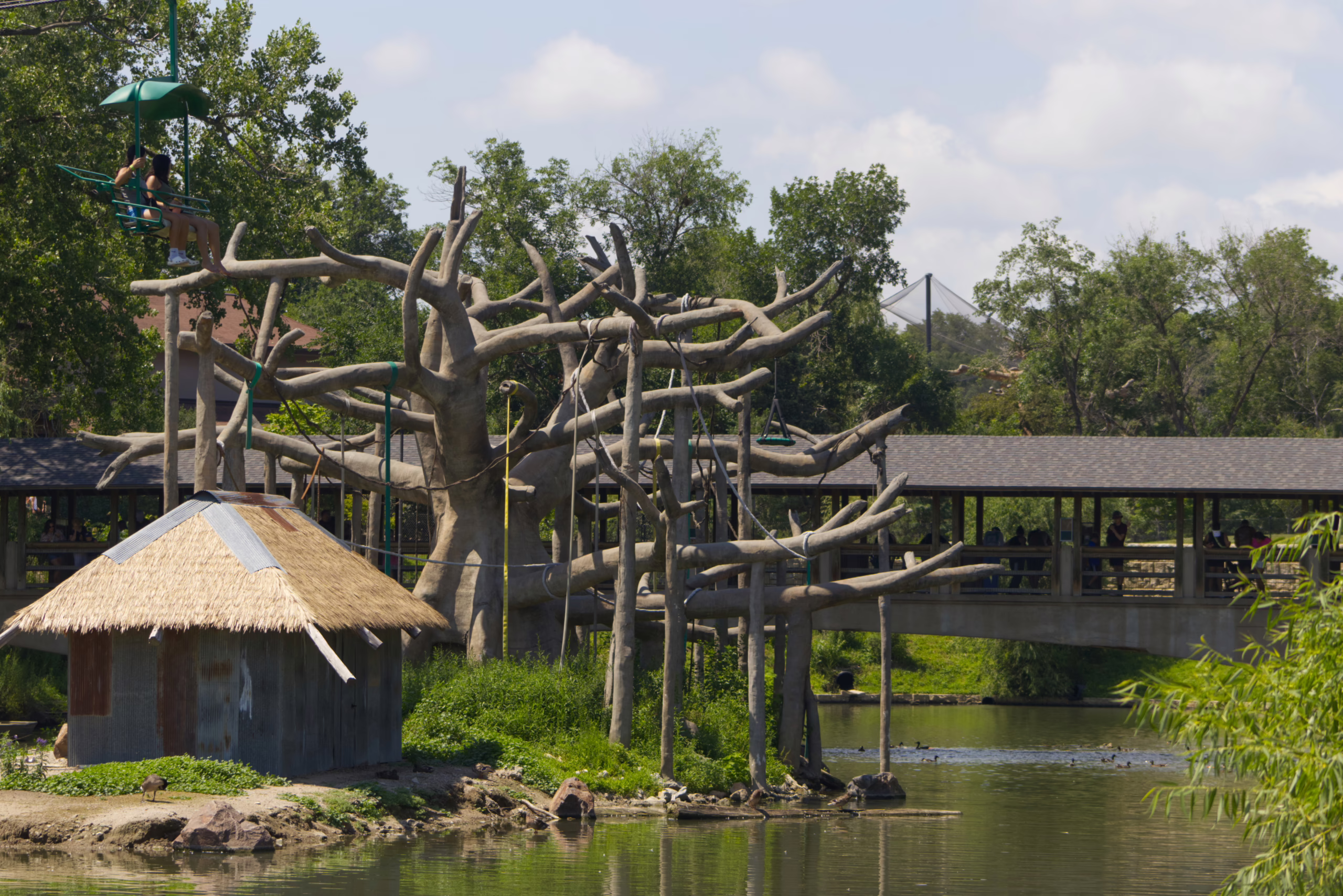 A wide shot of a primate island exhibit featuring a large, artificial climbing tree, a hut with a thatched roof, and a covered bridge for visitors crossing the surrounding water.