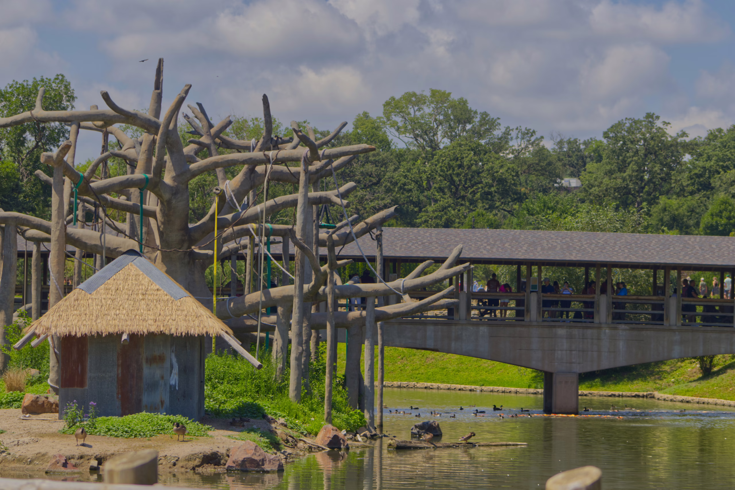 A scenic view of an island primate habitat, which includes a complex artificial tree for climbing and a covered walkway over the water for zoo guests.